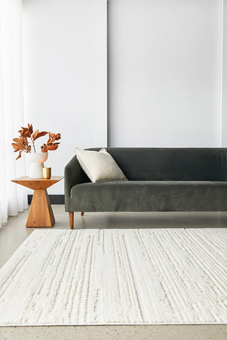 Easy to Clean Rugs | Simple Style Co