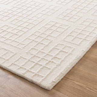 Close-up of Abasco Ivory Wool Rug's distressed checkered pattern