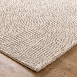 Lara Cobblestone Beige Rug corner