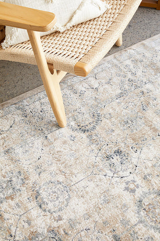 Providence Vine Traditional Rug