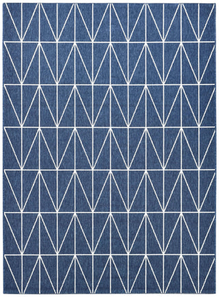 AUSTEX RUGS Nebraska Blue & White Reversible Outdoor Rug