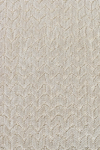 AUSTEX RUGS Nevada Beige Outdoor Rug