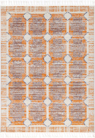 Brand Ventures RUGS Karmina Contemporary Rug