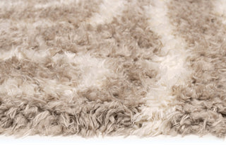 Tulba Abstract Shag Rug