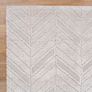 Tender Chevron Beige Shag Rug