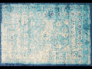 Anastasia 261 Blue Transitional Rug - Simple Style Co